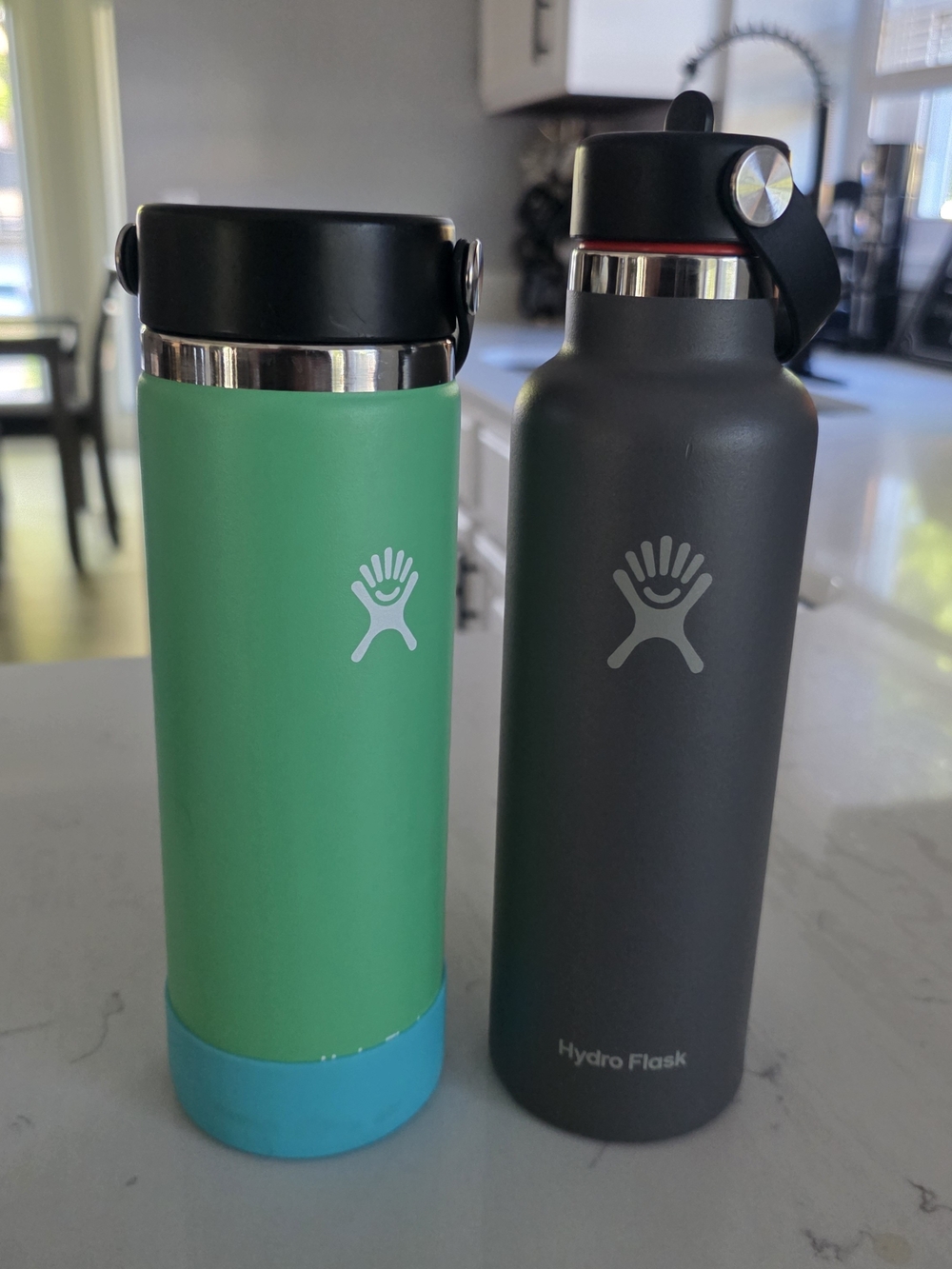 Hydro Flask Stainless Steel Water Bottle - Green & Gray